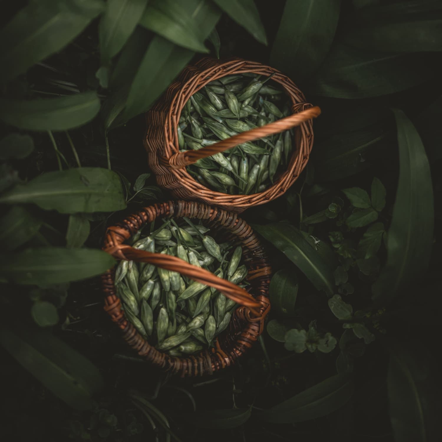Feature showcase