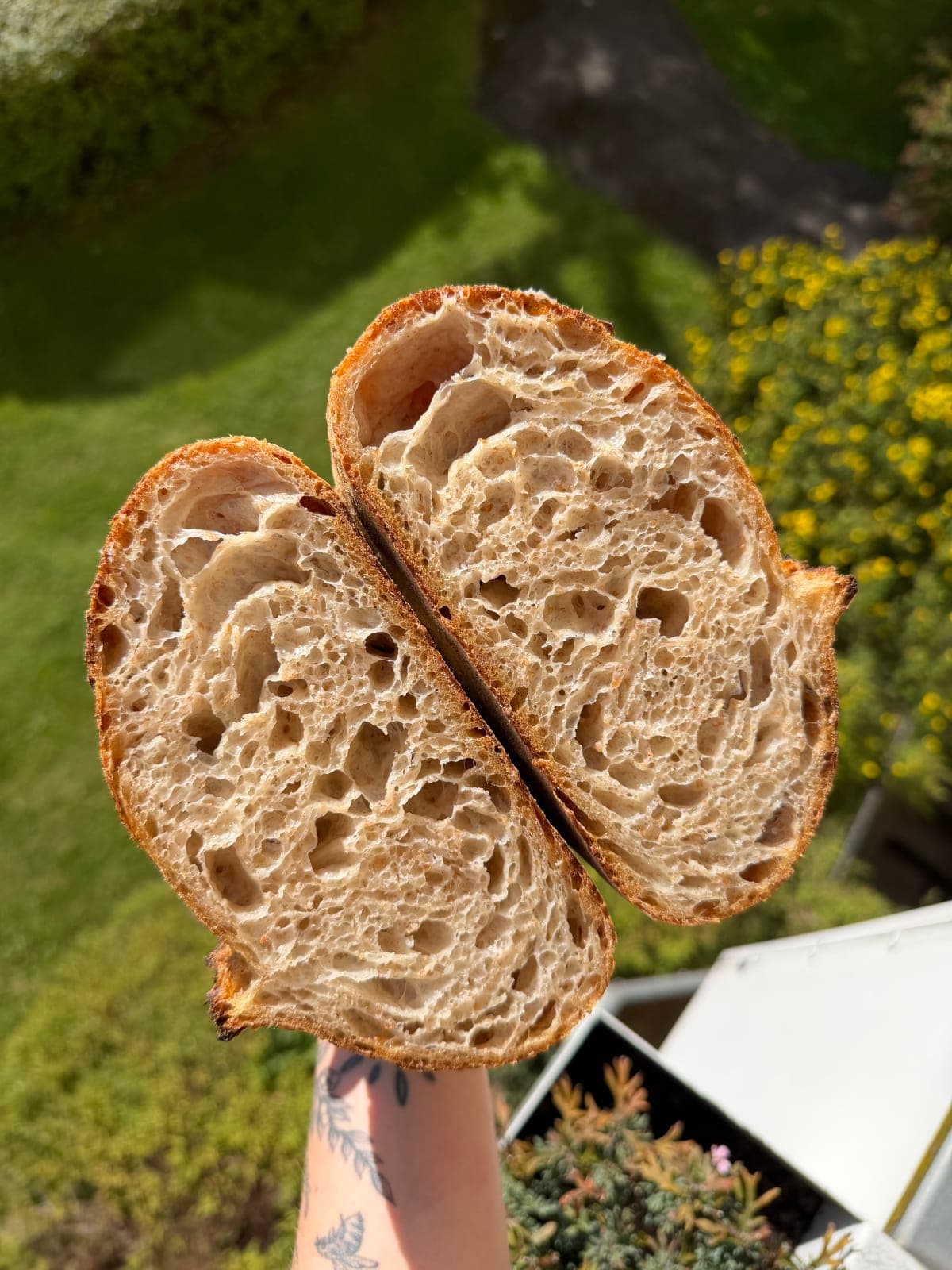 Feature image
